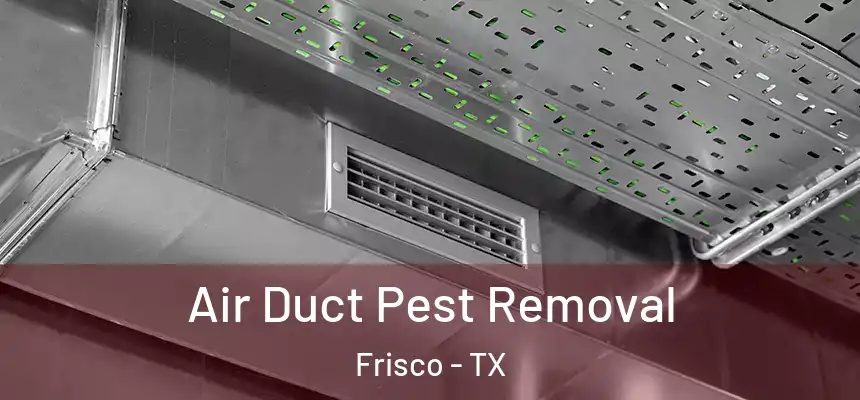 Air Duct Pest Removal Frisco - TX