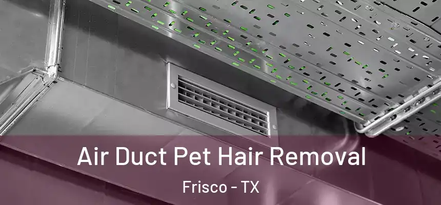 Air Duct Pet Hair Removal Frisco - TX