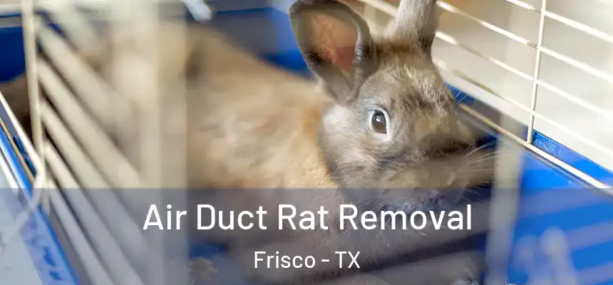 Air Duct Rat Removal Frisco - TX