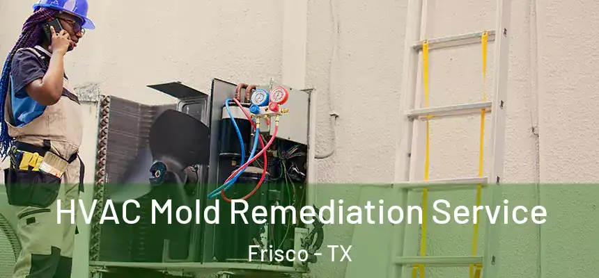 HVAC Mold Remediation Service Frisco - TX
