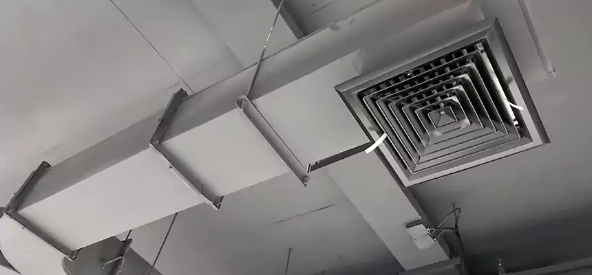 Restorative Allergy Relief Vent Cleaning – Coil, Blower & Housing Detail in Frisco