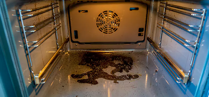 Our Dryer Vent Mold Cleaning Services in Frisco, TX