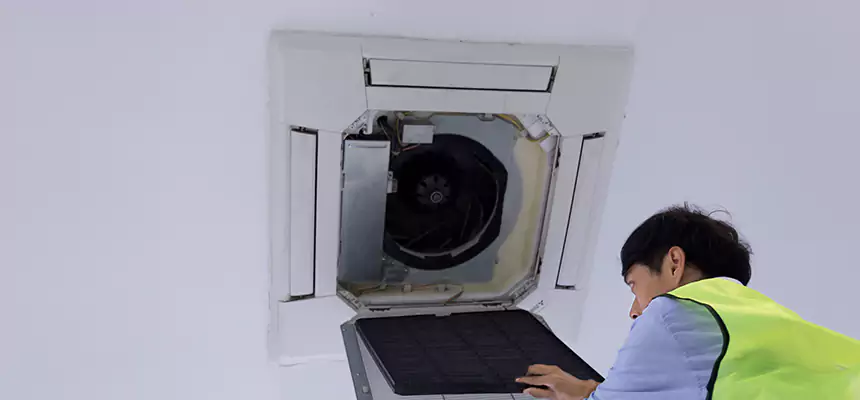 Our Dryer Vent Sanitization Service Services in Frisco, TX