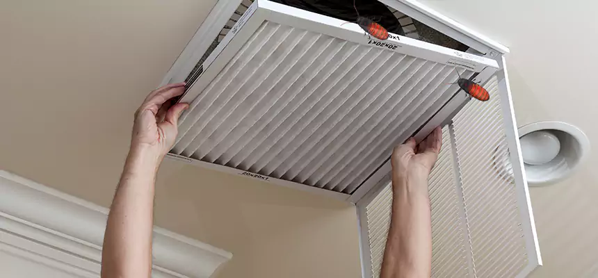 Our Insect Removal from Air Ducts Services in Frisco, TX