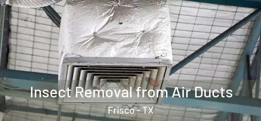 Insect Removal from Air Ducts Frisco - TX