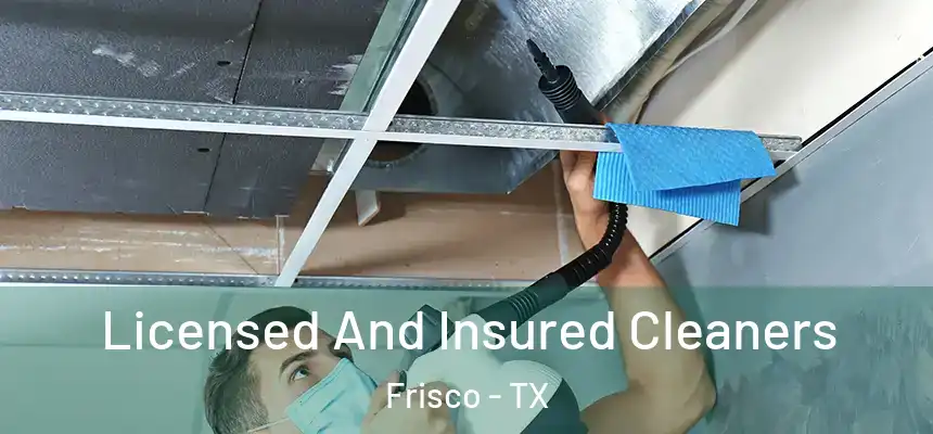 Licensed And Insured Cleaners Frisco - TX