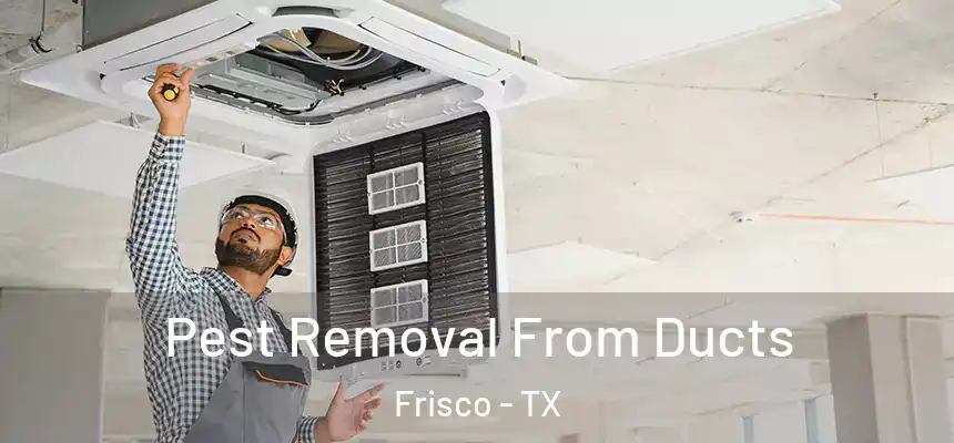 Pest Removal From Ducts Frisco - TX
