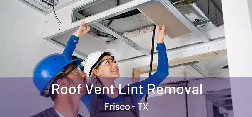 Roof Vent Lint Removal Frisco - TX