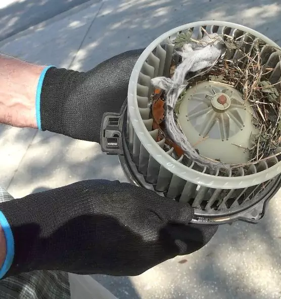 About Air Duct Rat Removal in Frisco, TX