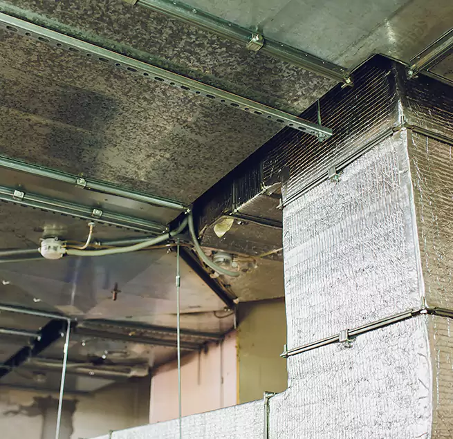 Why Homeowners & Businesses Trust Us in Frisco, TX?